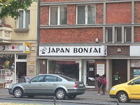 kantstr.28.jpg