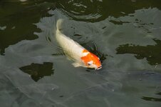 dsc_0599_693.jpg