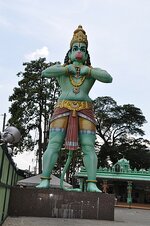 dsc_0543_742.jpg