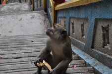 dsc_0550_669.jpg