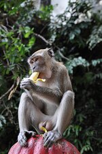 dsc_0573_750.jpg