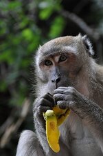 dsc_0576_751.jpg