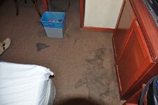 dsc_3816_766.jpg