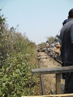 sam_0138_979.jpg