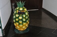 dsc_2655_1015.jpg