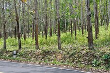 dsc_2756_1065.jpg