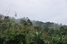 dsc_2790_1079.jpg