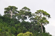 dsc_2789_1078.jpg