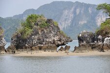 dsc_2872_1108.jpg
