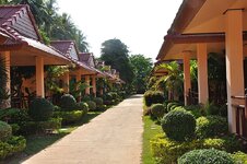 dsc_2911_1125.jpg