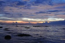 dsc_3005_1147.jpg