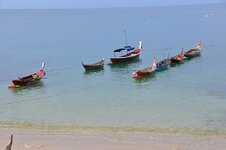 dsc_3010_1150.jpg