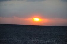 dsc_2950_1136.jpg