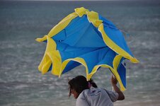 dsc_2944_1132.jpg