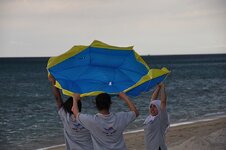 dsc_2946_1133.jpg