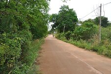 dsc_3077_1179.jpg