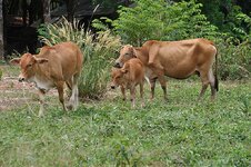 dsc_3054_1171.jpg
