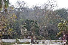 dsc_1916_2584.jpg