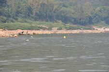 dsc_1980_2624.jpg