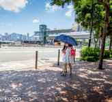 IMG_7459.jpg IMG_7459.jpg