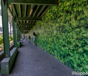 IMG_7474.jpg IMG_7474.jpg