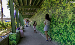 IMG_7476.jpg IMG_7476.jpg