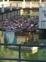 IMG_1373.JPG