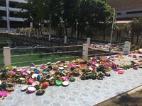 IMG_1368.JPG