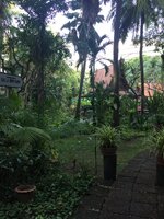 IMG_1385.JPG