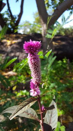 20161109_124817.jpg