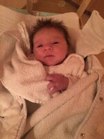 2016-12-02 13.01.50-2.jpg
