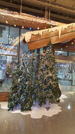20161213_131041.jpg
