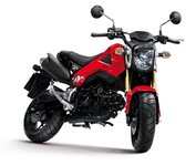 Honda MSX 125.jpg