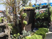 IMG_20161228_113704.jpg
