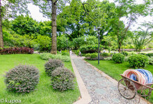 IMG_6377.jpg IMG_6377.jpg