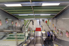 IMG_6406.jpg IMG_6406.jpg