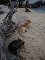 DSCN3420.JPG DSCN3420.JPG