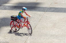 IMG_6498.jpg IMG_6498.jpg