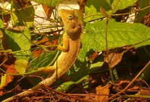 20170112_104757.4.jpg