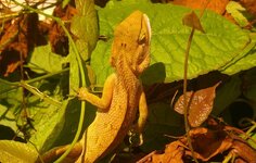 20170112_105050.4.jpg