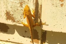 20170112_105200.4.jpg