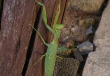 20170112_170924.4.jpg