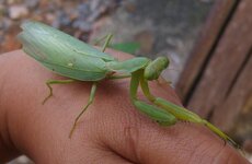20170112_170959.4.jpg