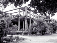 28008173xz.jpg