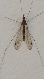 20170113_165054.jpg