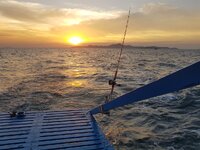 20170119_180230.jpg