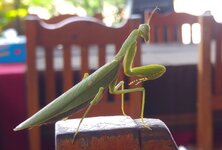 20170116_130049,a.jpg