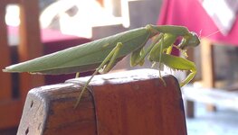 20170116_130319.a.jpg