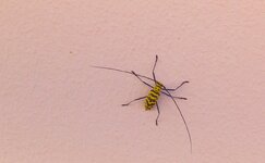 20170113_164046,a.jpg