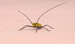 20170113_164041,a.jpg